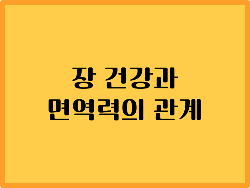 장 건강과 면역력의 상관관계 5가지 핵심 포인트 1 장 건강과 면역력의 상관관계 5가지 핵심 포인트
