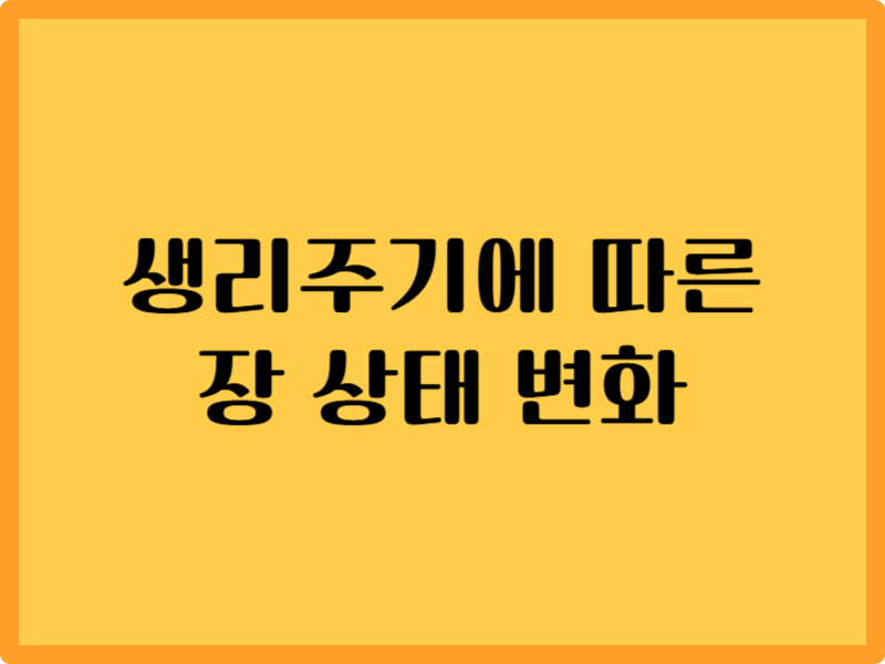 생리 주기에 따른 장 상태 변화 4단계 1 생리 주기에 따른 장 상태 변화 4단계
