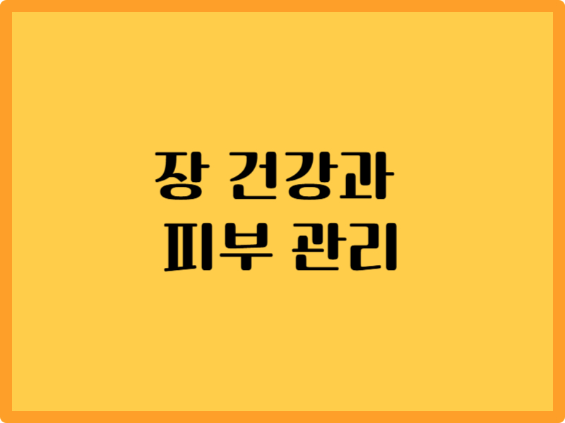 장 건강이 피부 관리에 미치는 영향 6가지 1 장 건강이 피부 관리에 미치는 영향 6가지